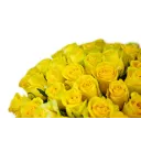 Bouquet of yellow roses